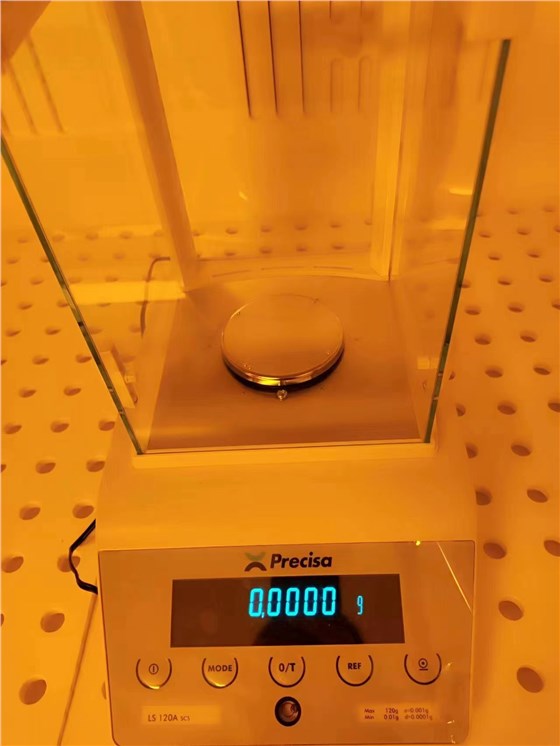 LS120ASCS 黃光環(huán)境稱重