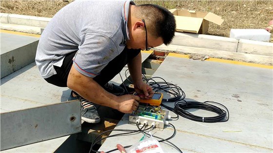 電子汽車衡更換傳感器1 電子汽車衡更換傳感器1