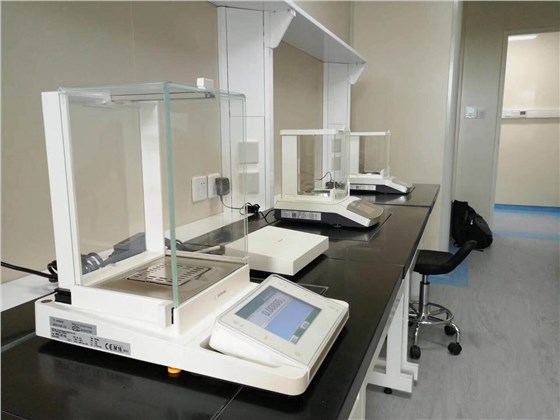 賽多利斯電子天平實(shí)拍