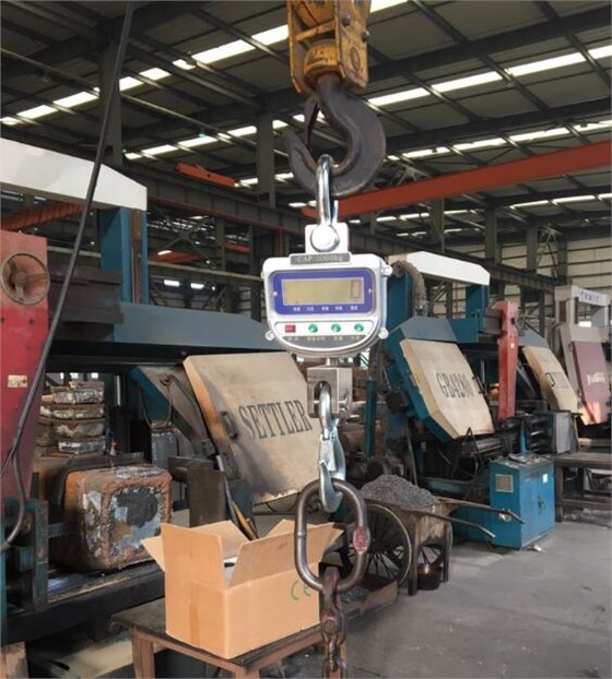 藍(lán)箭5噸電子吊秤稱重現(xiàn)場(chǎng)