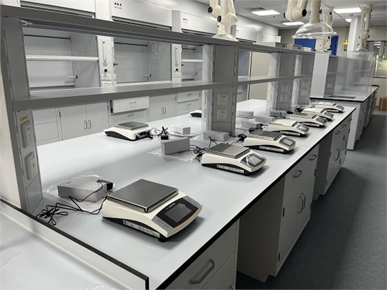 實驗室電子秤 (2)