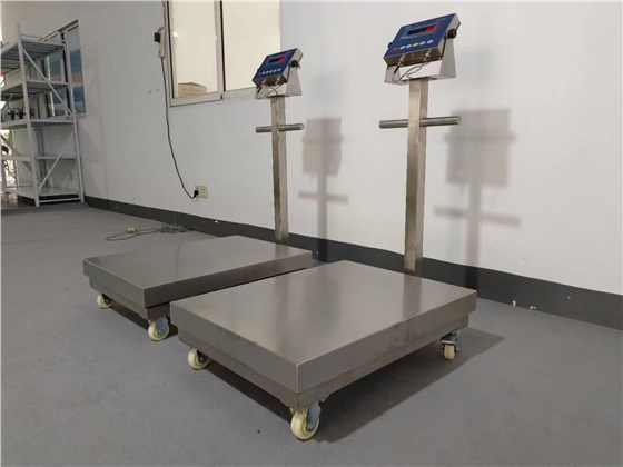 全不銹鋼移動(dòng)式防爆臺秤 (2)