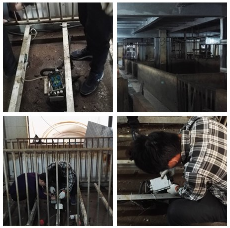 牲畜秤維修現(xiàn)場