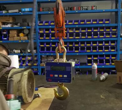 優(yōu)寶防爆吊秤E0722