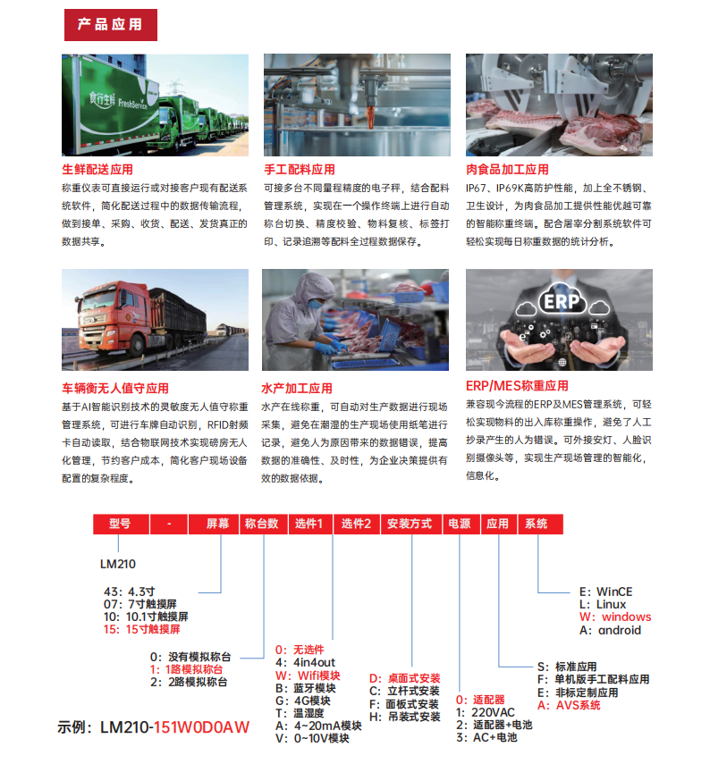 JZ-LM210智能儀表 (3)