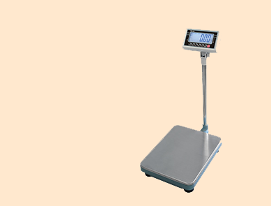 惠爾邦BW30-600kg電子臺秤