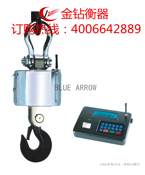 XZ-bc無(wú)線電子吊秤