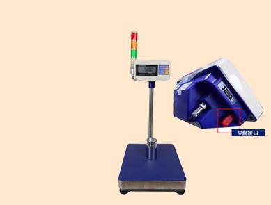 英展電子秤U盤(pán)存儲(chǔ)