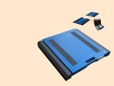 狄納喬WWSB有線軸重秤