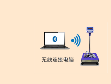 電子秤 打印數(shù)據(jù)傳輸電腦 電子秤 打印數(shù)據(jù)傳輸電腦