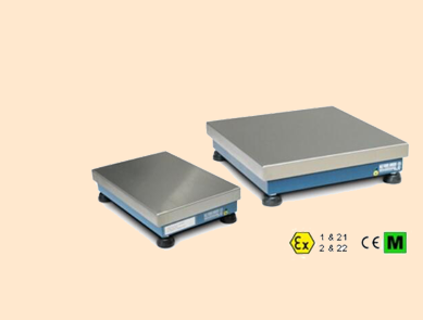 狄納喬T系列高精度臺(tái)秤