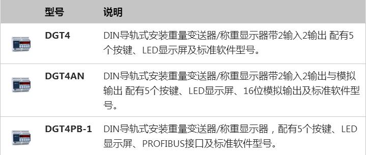 DGT4重量變送器型號(hào)說明