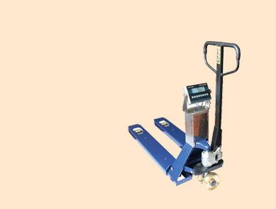 石油化工防爆電子叉車(chē)秤