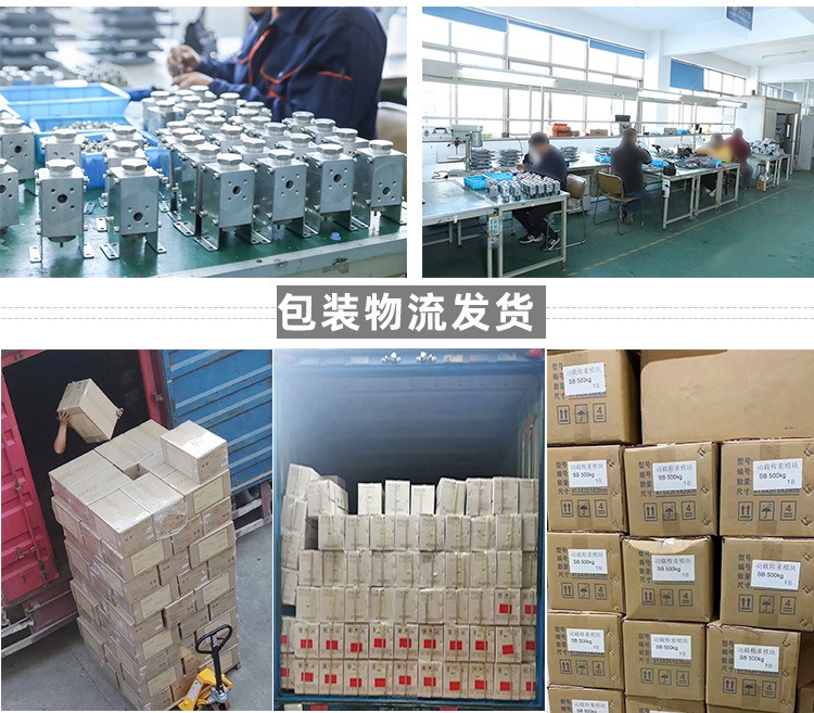 蘇州金鉆靜載稱重模塊9