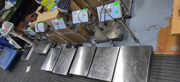 WEDSI狄納喬電子臺(tái)秤