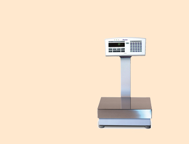 IBK34000D Precisa 普利賽斯工業(yè)天平